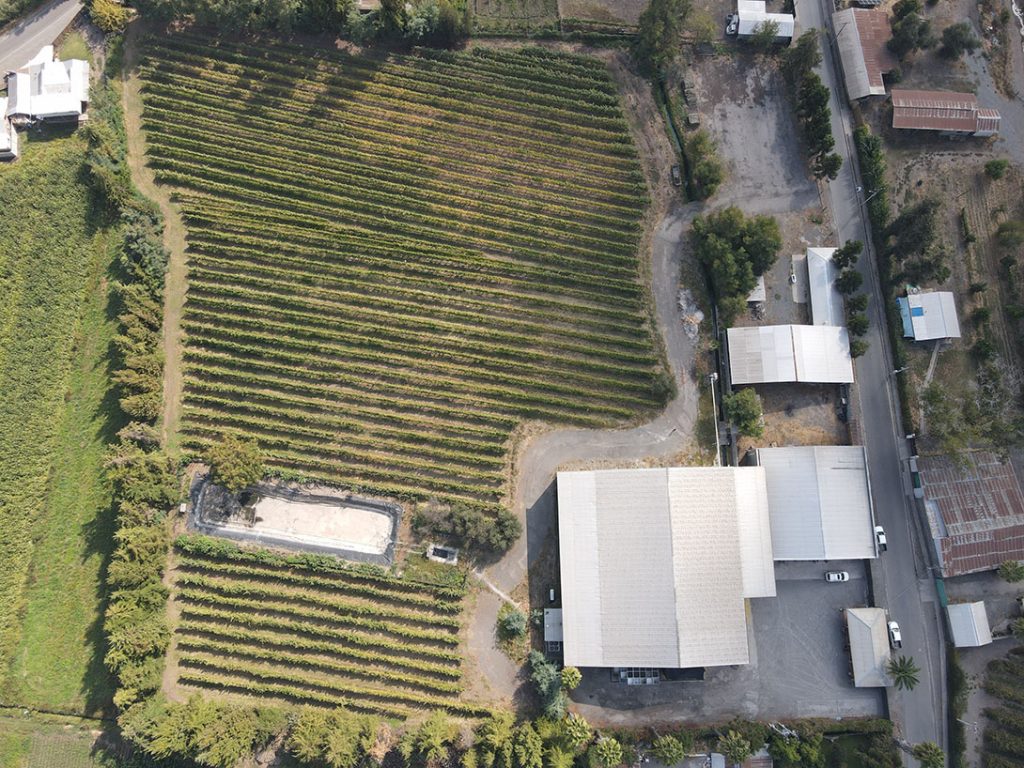 DJI_0353-1024×768