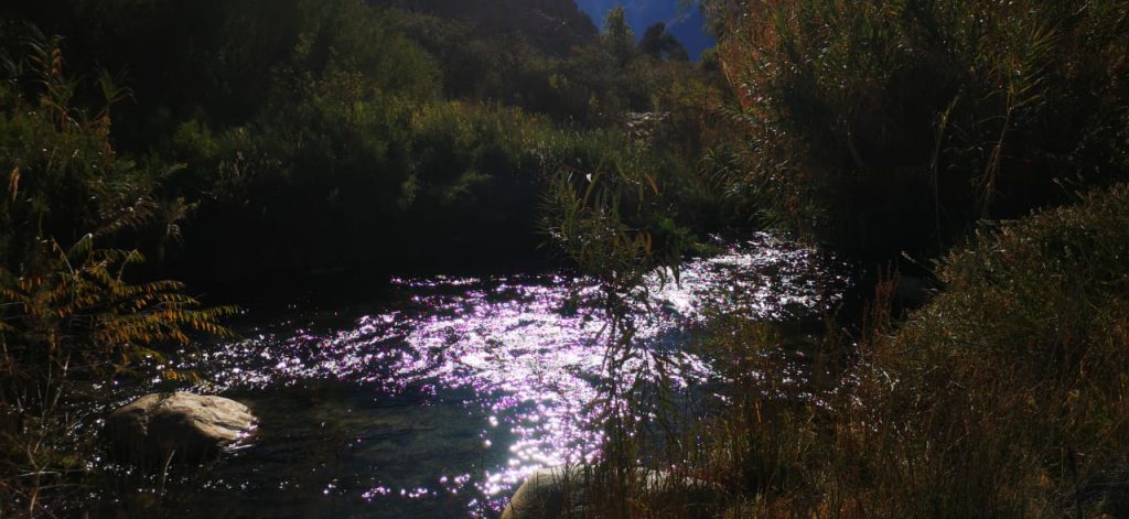 IMG-20230713-WA0024