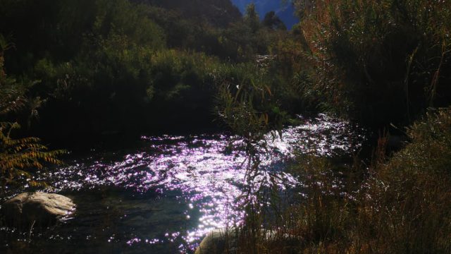 IMG-20230713-WA0024