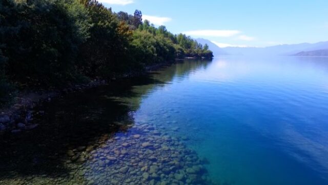 riñihue-6