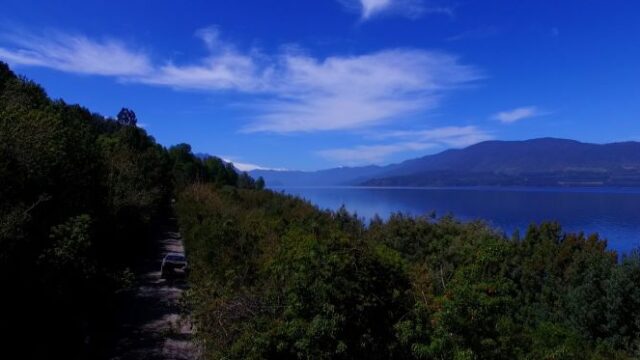 riñihue-7