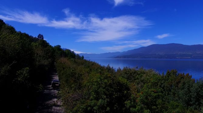 riñihue-7