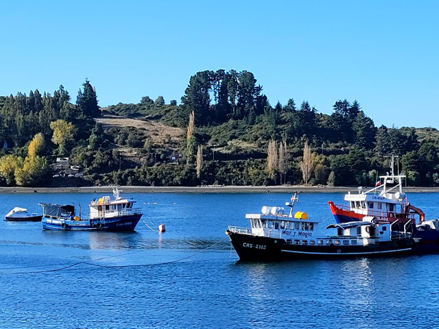 Terreno urbano, Castro, Chiloé