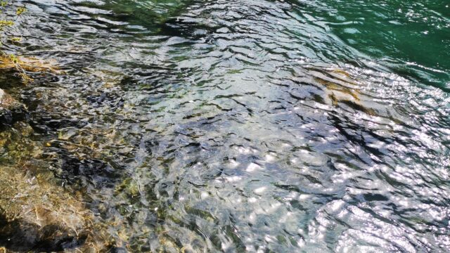 IMG_20261001_115848
