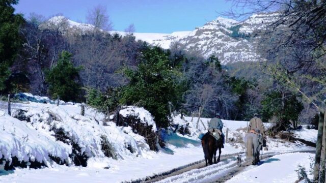 Nieve 2 Caballos