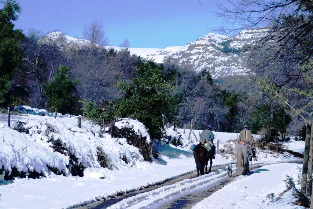 Nieve 2 Caballos